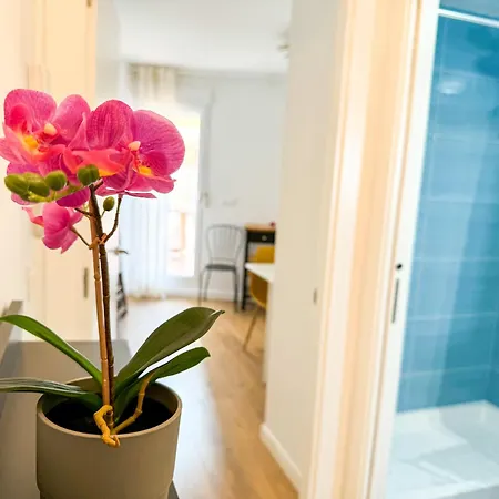 El Puente Del Pilar - Turistea *